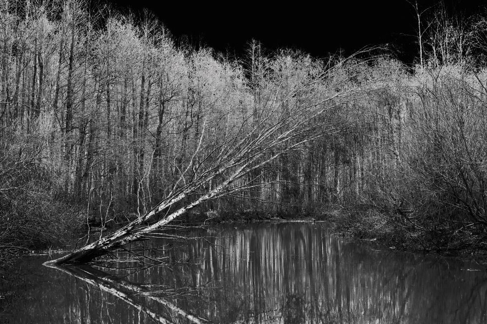 Photograph by Ричард Речицкий