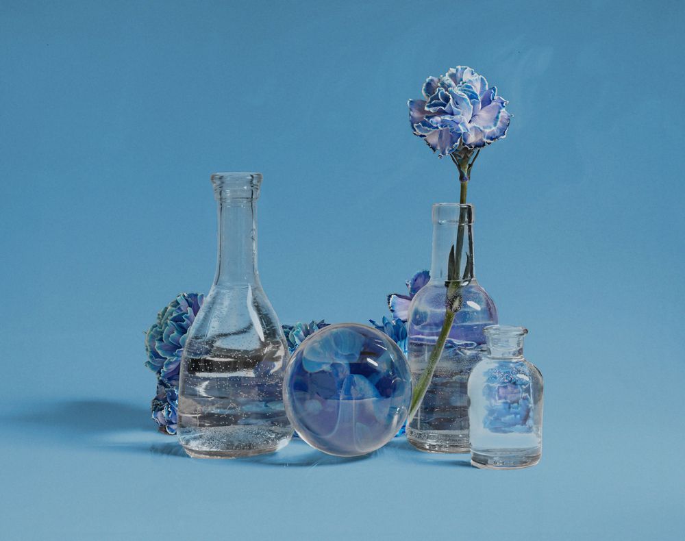 Фотография автора Наталья Василькова