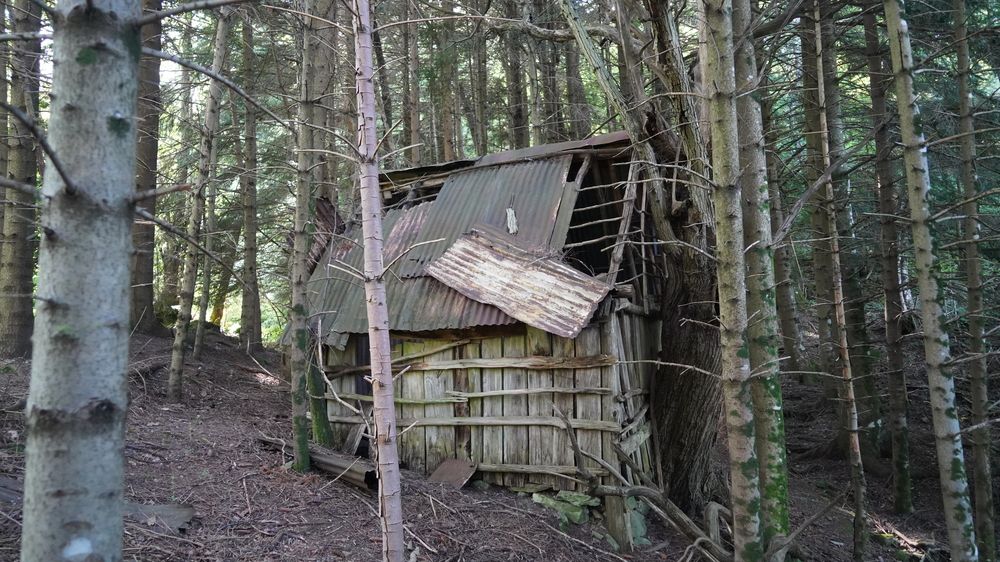 Photograph by Toomas Tõnisalu