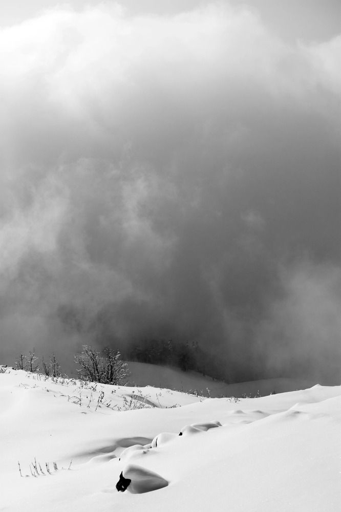 Photograph by Ричард Речицкий