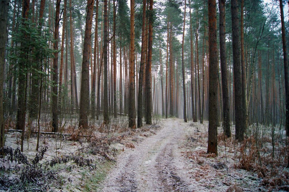 Photograph by Екатерина