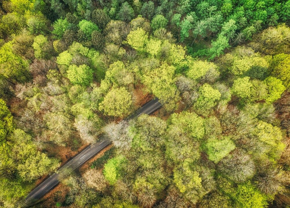 Photograph by Guy Krier