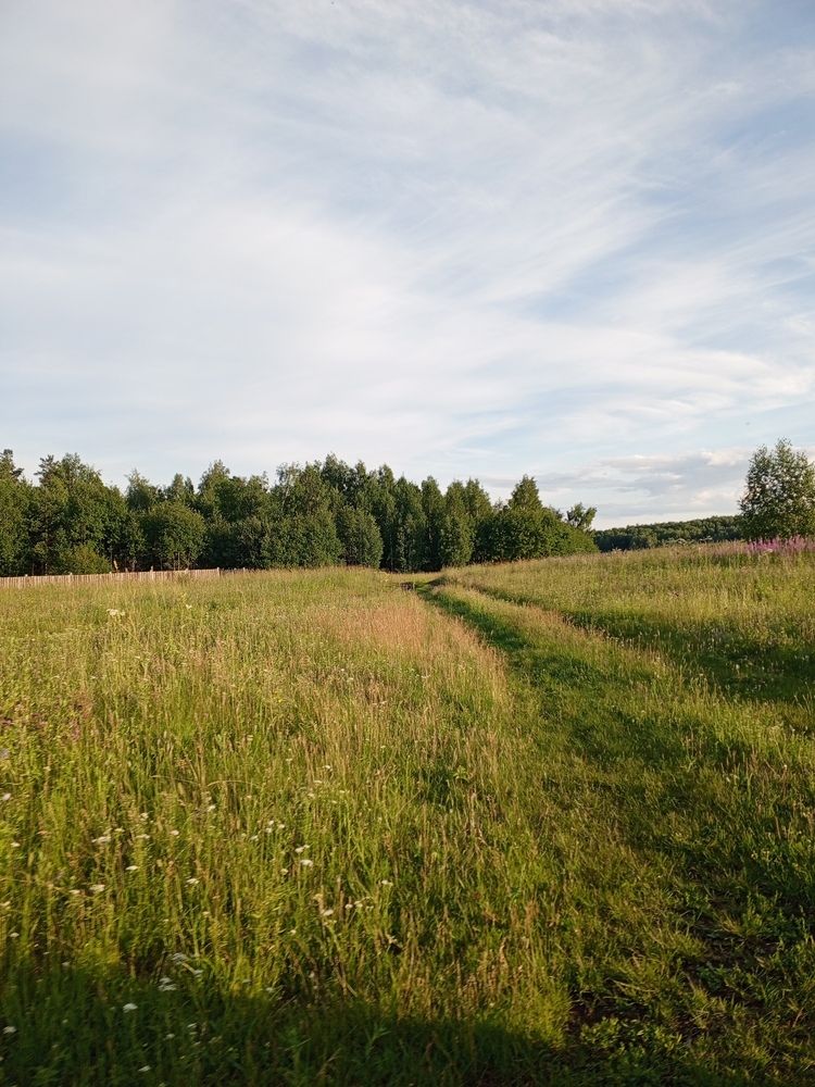 Photograph by Татьяна Николаевна