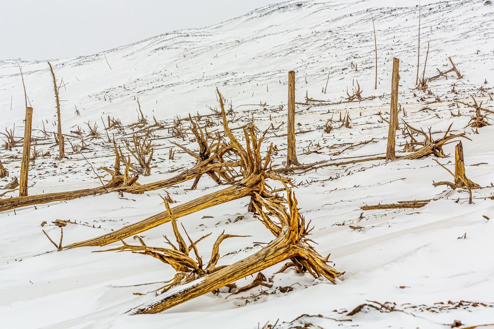 Photograph by Демьян Булавинец