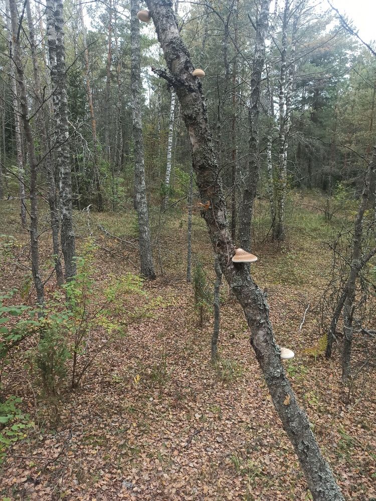 Photograph by Валерия Сопова