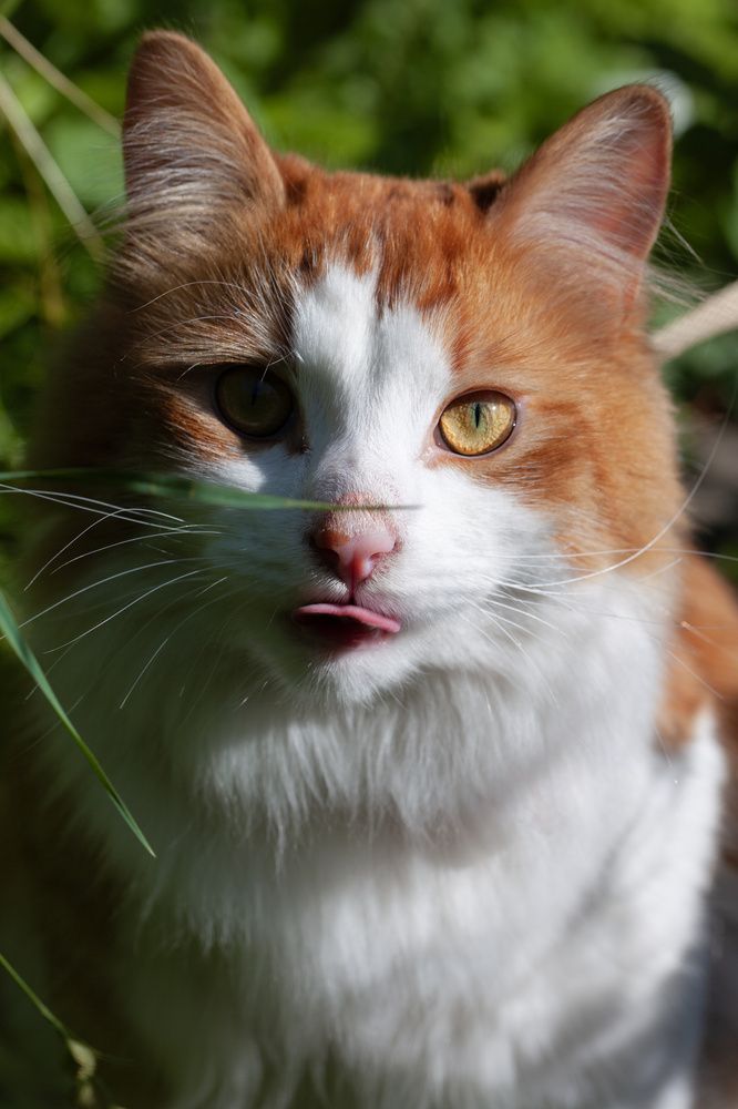 Photograph by Лапенкова Ольга