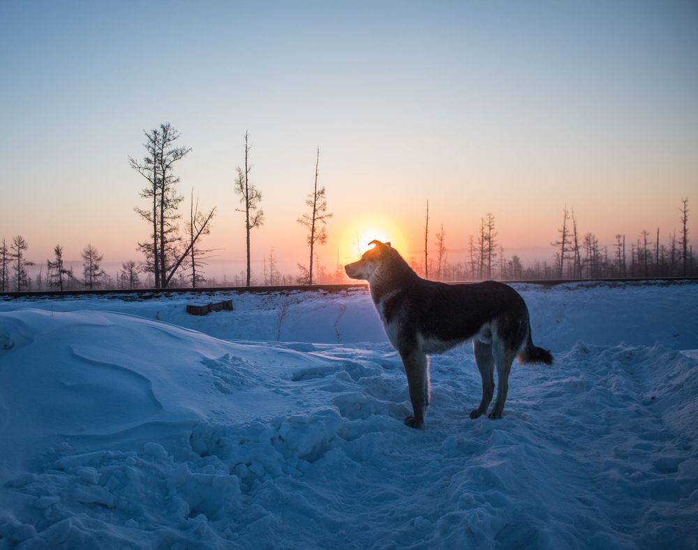 Photograph by Михаил Мархинин