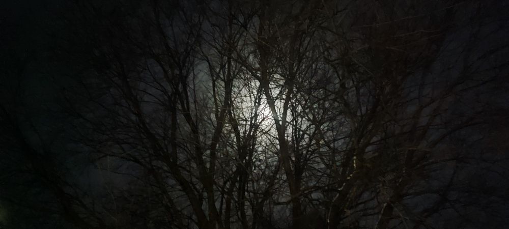 Photograph by Григорий Полосин