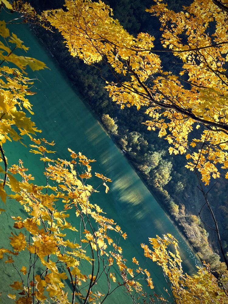 Photograph by Anton