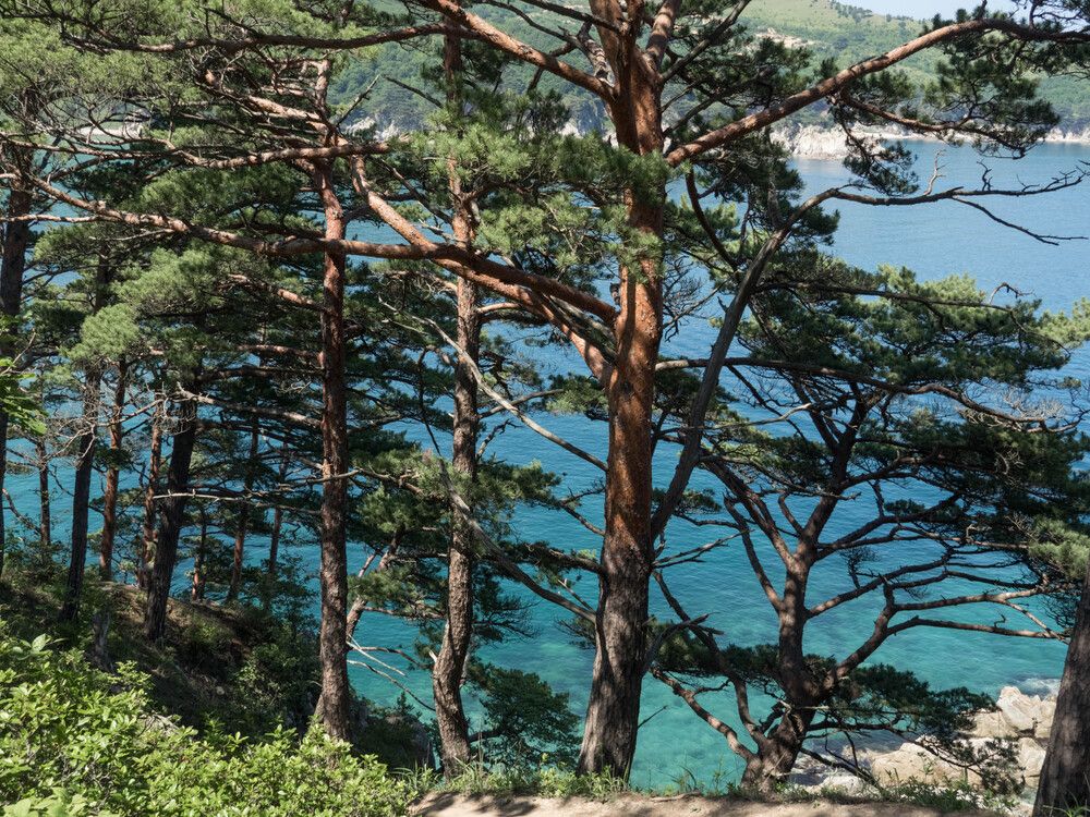 Photograph by Pavel Milovankin