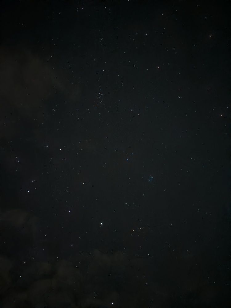 Photograph by Елена Симонова