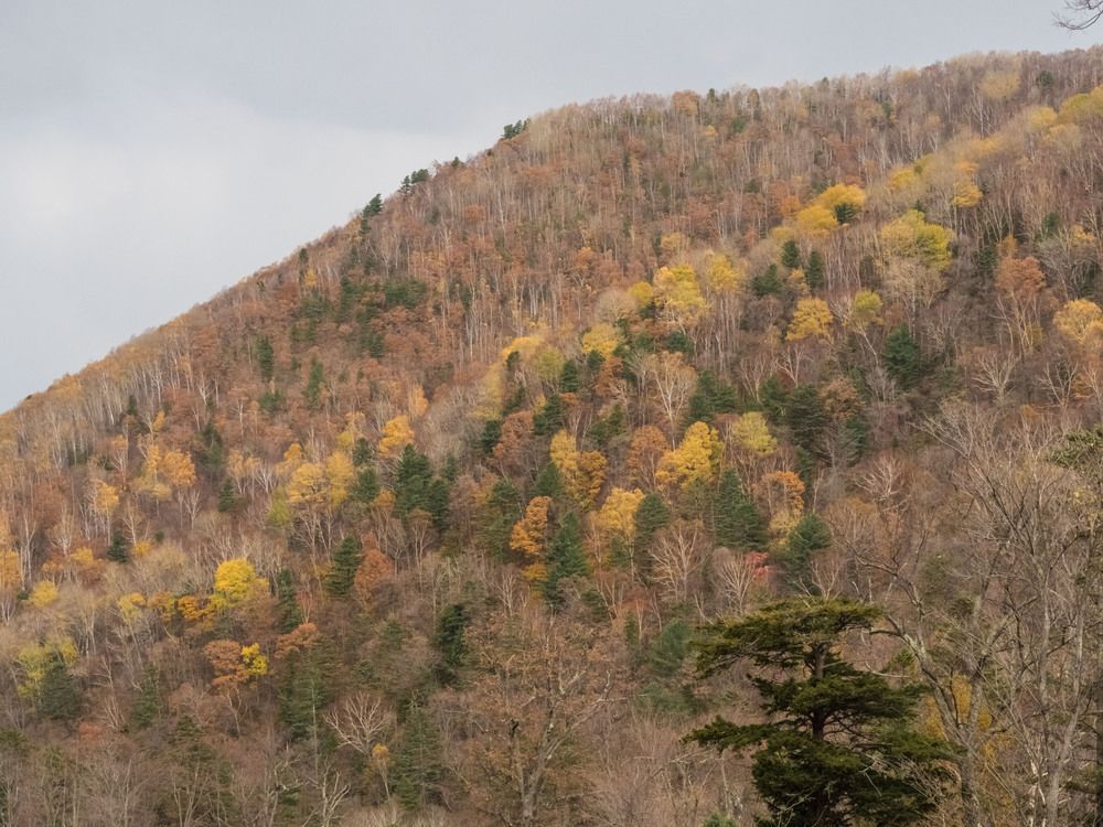 Photograph by Pavel Milovankin