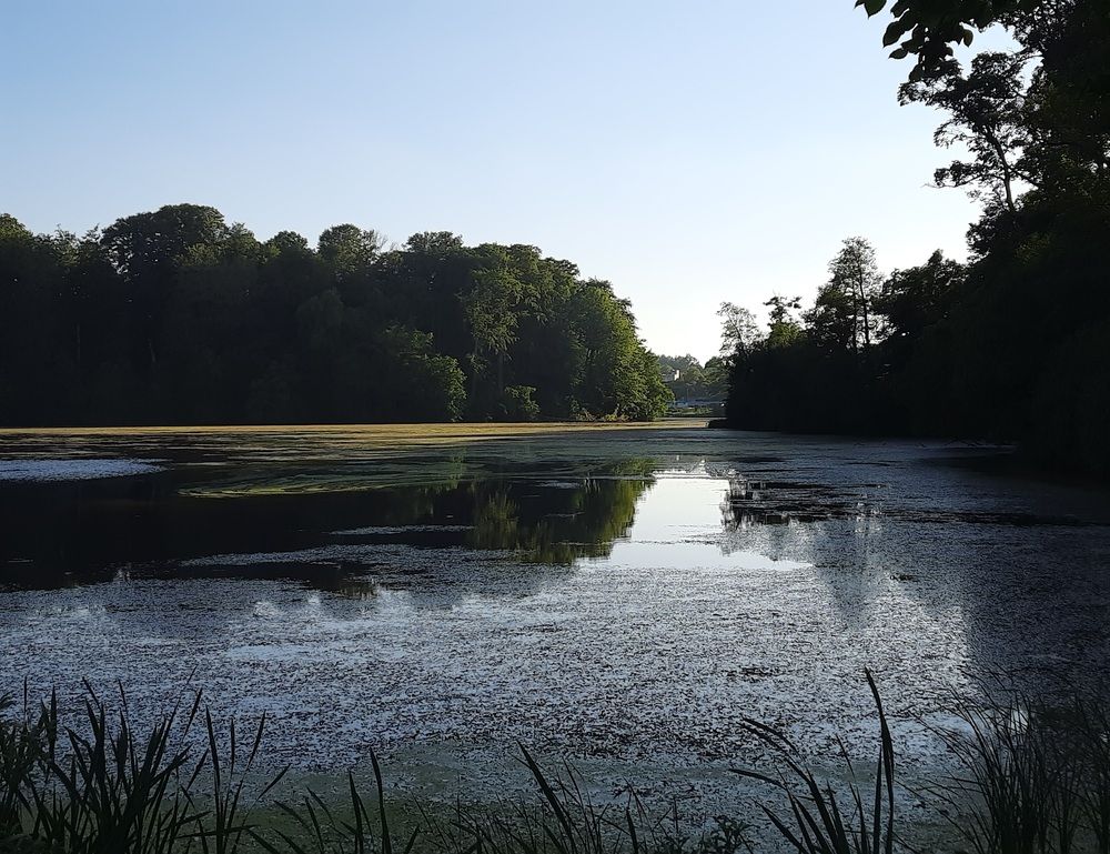 Photograph by Наталья Ткаченко