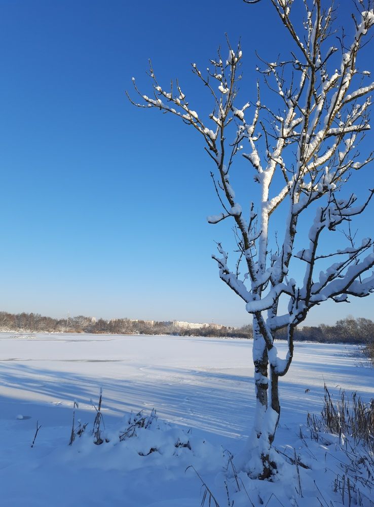 Photograph by Наталья Ткаченко