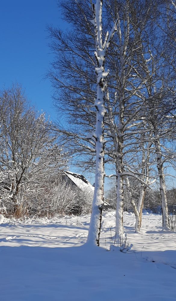 Photograph by Наталья Ткаченко