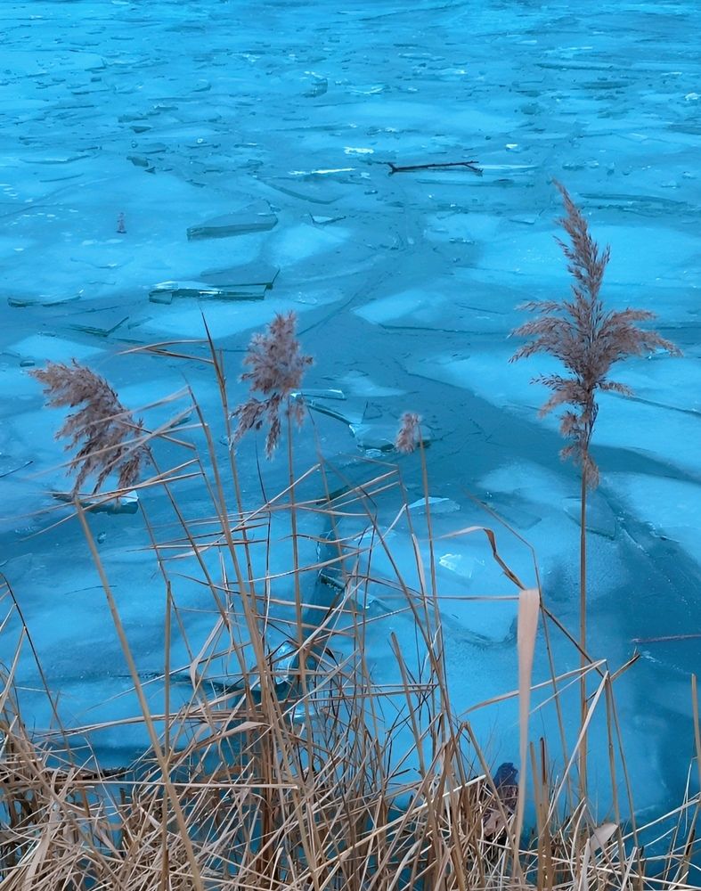 Photograph by Юлия Холомцева