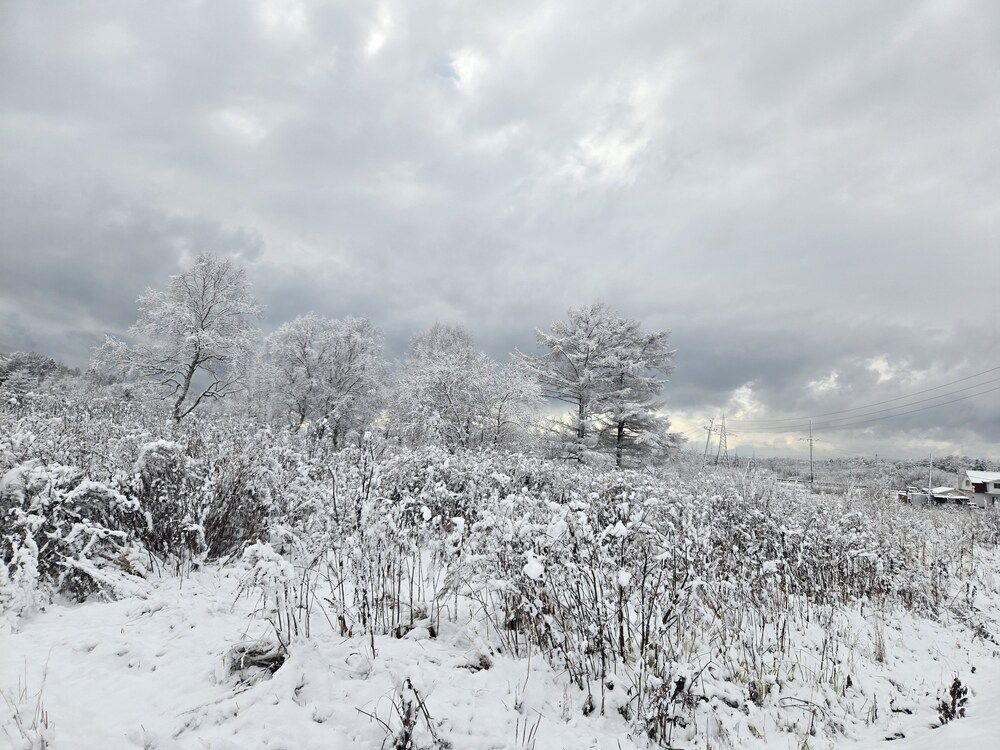 Photograph by Жанна Регор