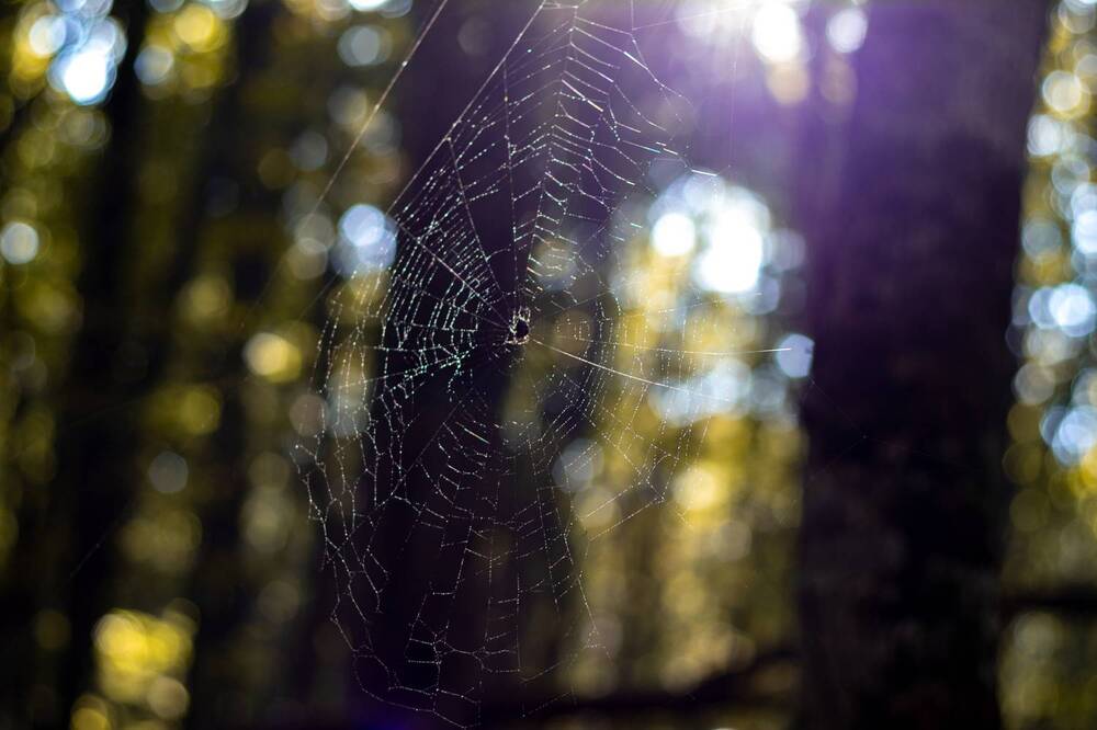 Photograph by Евгений Еськов