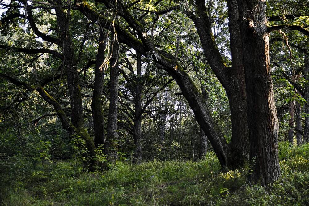 Photograph by Миша Автократов