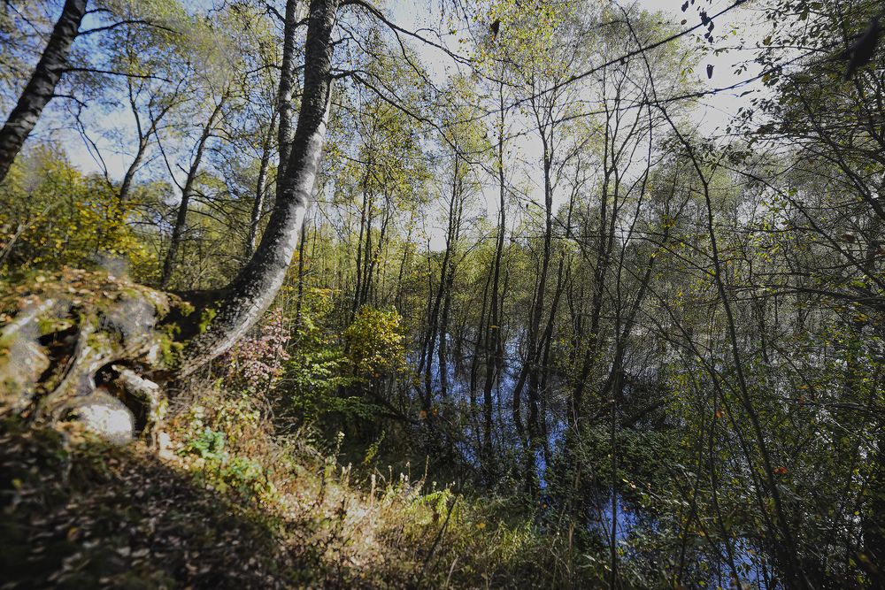 Photograph by Миша Автократов