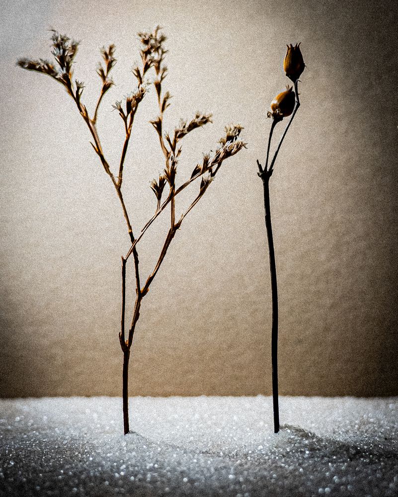 Photograph by Марина Костина