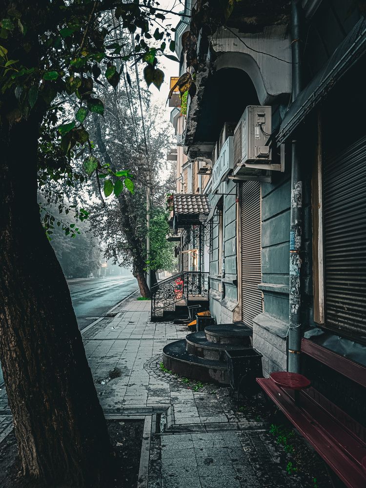 Photograph by Владимир Сушкин