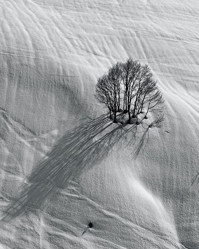 Photograph by Elena Ananieva