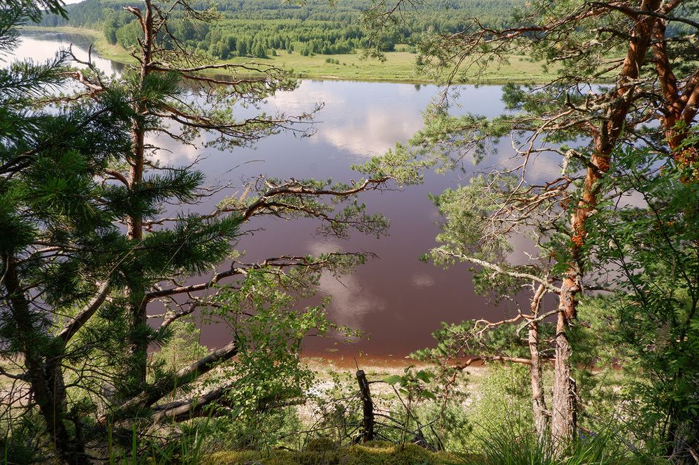 Фотография автора Наталья Липовская