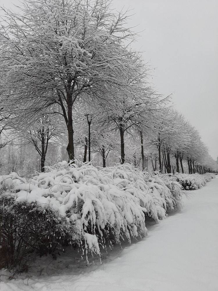 Зимний город