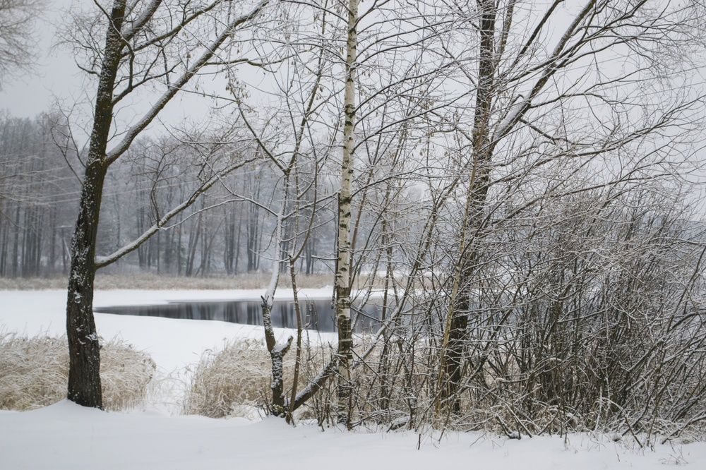 Photograph by Irina Khusnetdinova