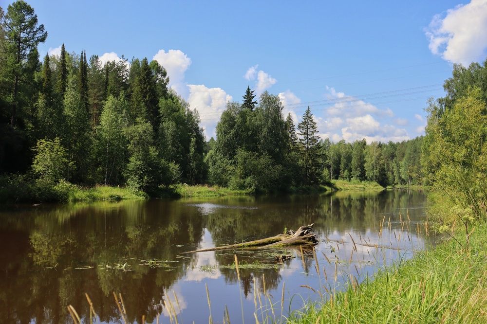 Photograph by Анастасия Чадина