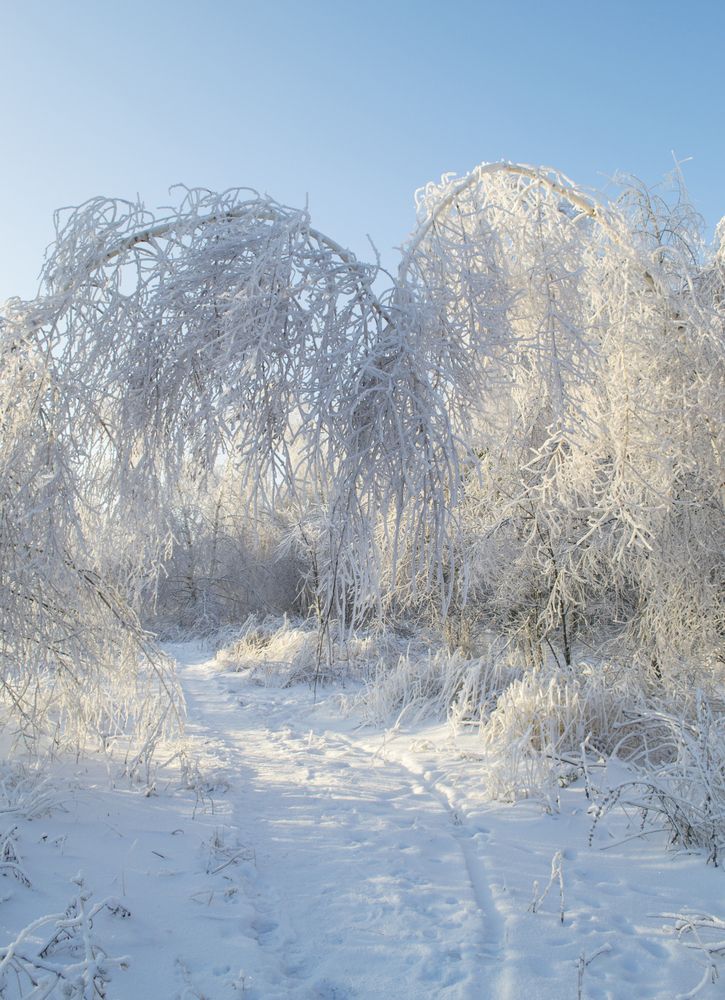 Photograph by Irina Khusnetdinova