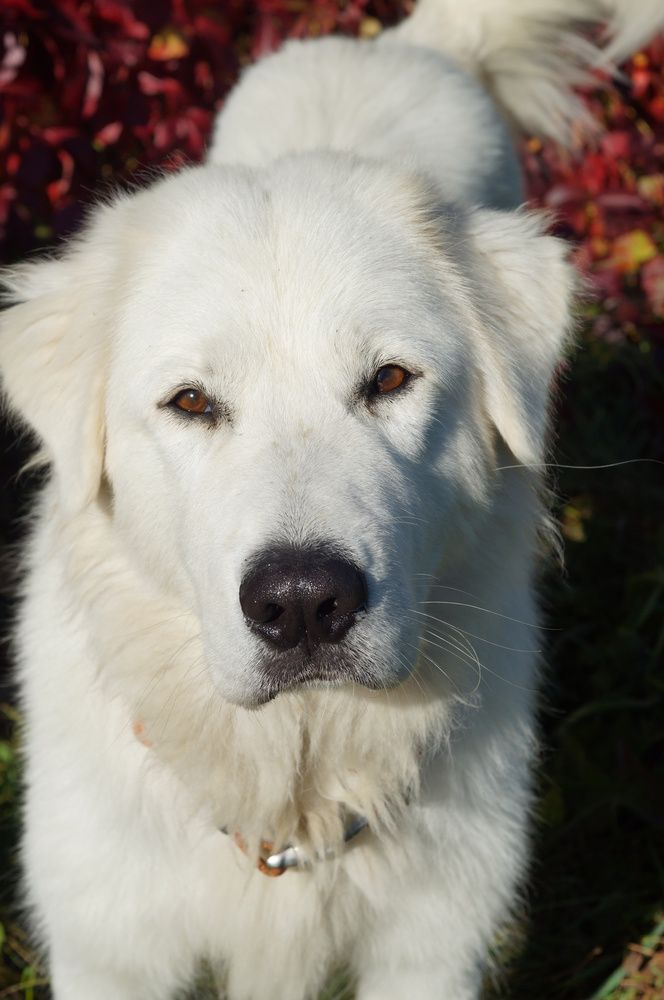 Photograph by Ирина Бондаренко