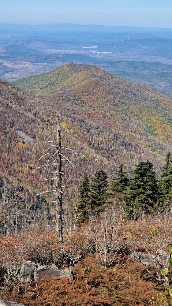 Photograph by Галина Новикова