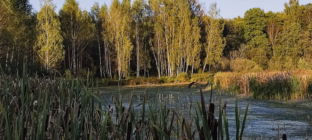 Photograph by Миша Автократов