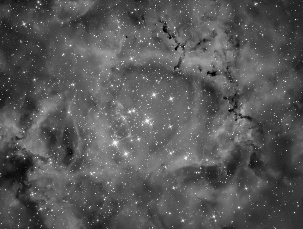 Rosette nebula