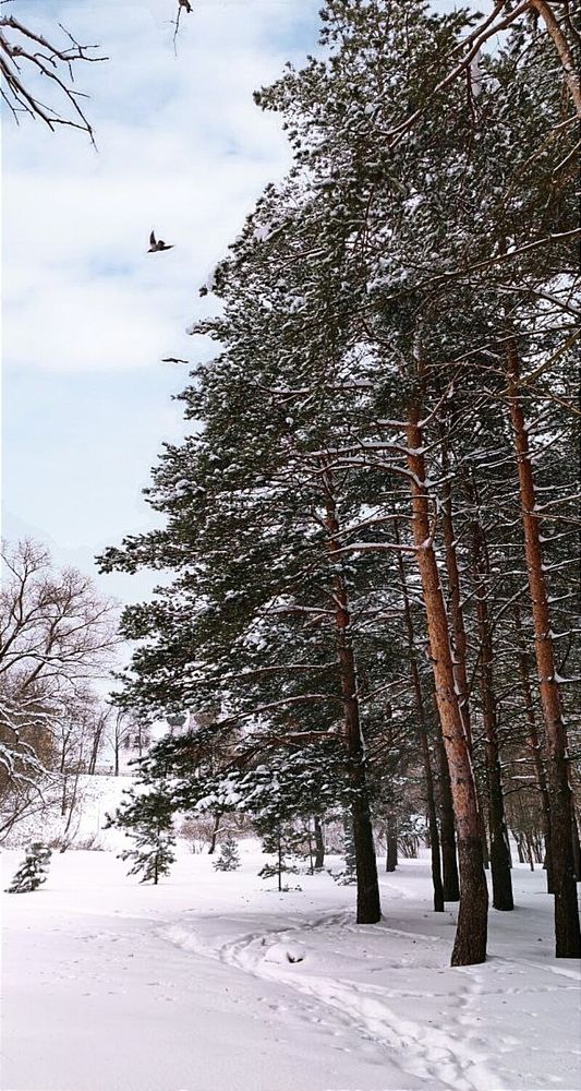 Photograph by Елена Бородулина