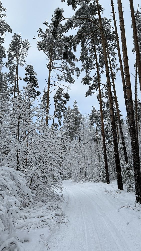 Photograph by Ksenia Rastokina