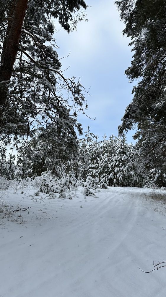 Photograph by Ksenia Rastokina