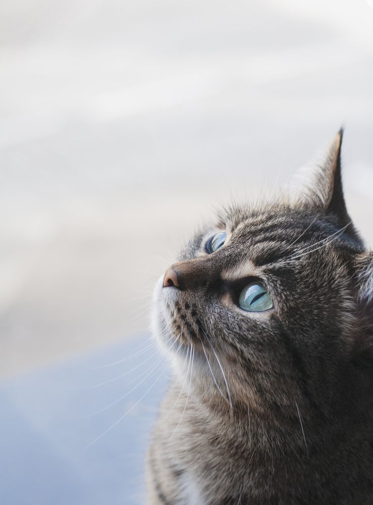 Photograph by Irina Khusnetdinova