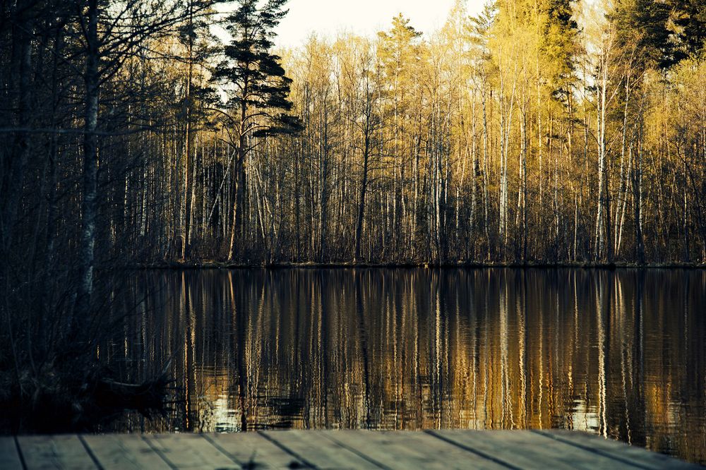 Photograph by Дмитрий Resett