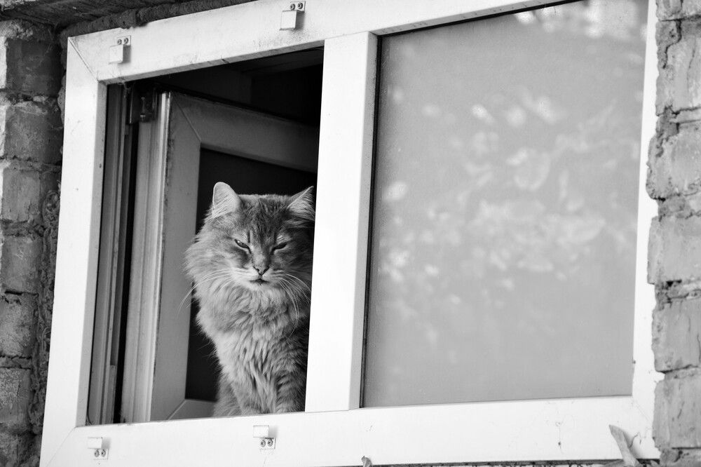 Photograph by Андрей Звездов