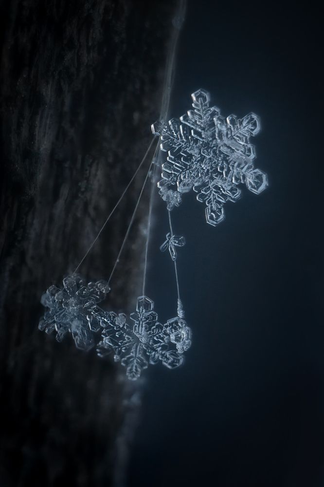 Про брошки с подвесками