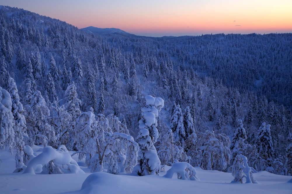 Сахалин-родные просторы
