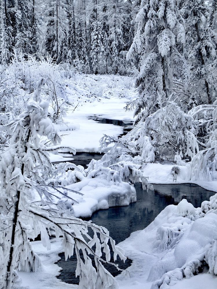 Ручей Шаман