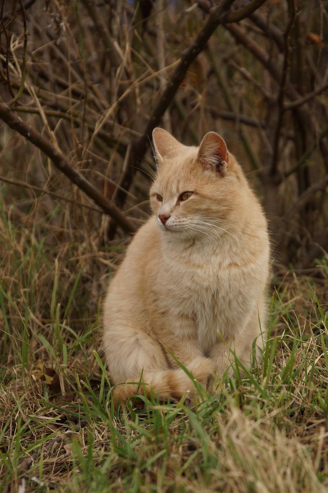 Фотография автора Татьяна Брык