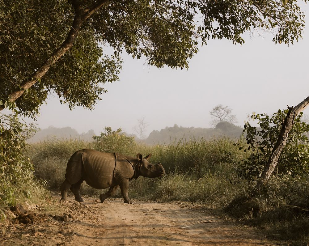 Photograph by Nikhil Parnandi