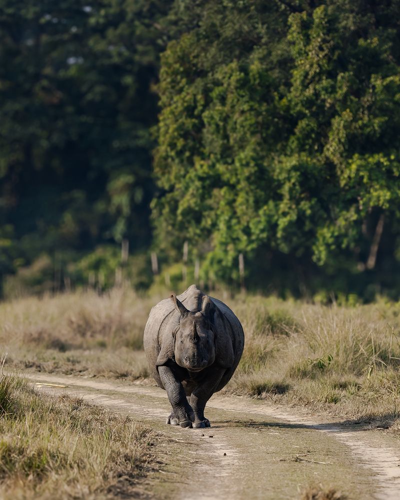 Photograph by Nikhil Parnandi