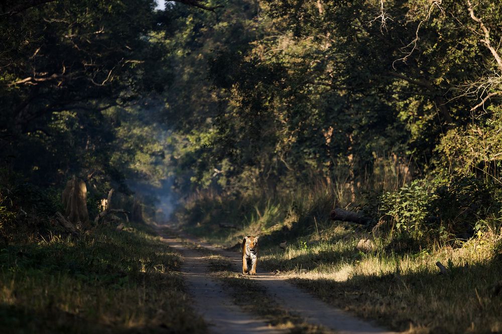 Photograph by Nikhil Parnandi