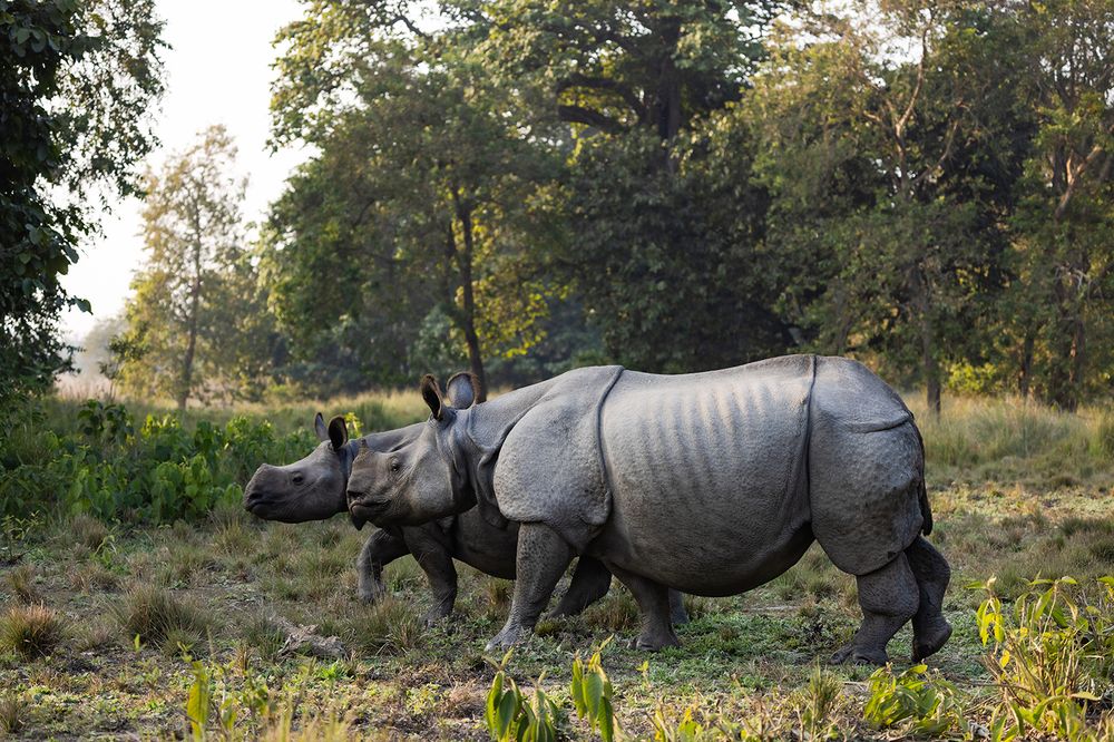 Photograph by Nikhil Parnandi